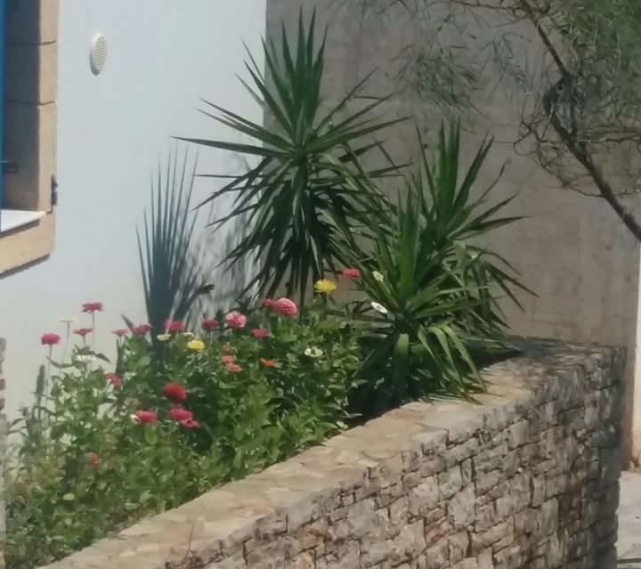Castri Village Kythira Quality Resort Agia Pelagia  Εξωτερικό φωτογραφία